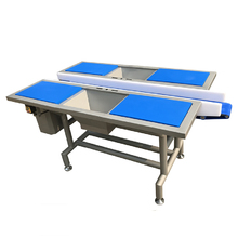 Конвейер инспекционный 4-х станционный КИ-001