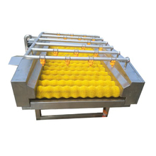 Транспортер ополаскивающий ТО-001